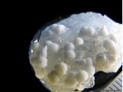 Сколецит с мезолитом на апофиллите (МА 1057)