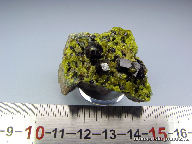Гранат-андрадит, эпидот, магнетит (ЕВ 394)
