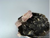 Розовый турмалин на дымчатом кварце (ЕВ 367)